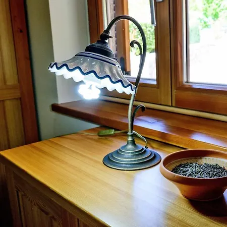 Сasa de vacaciones Stone House Luka Vantacici