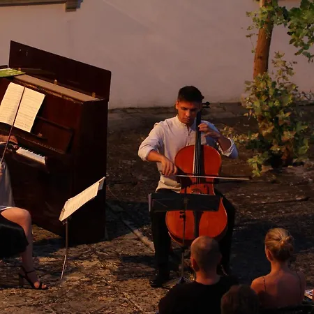 Сasa de vacaciones Stone House Luka Vantacici